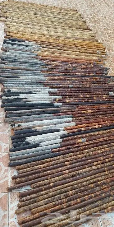 عصي مزمار عصي لوز وعصي بومب مسقيه ومجلبه 24