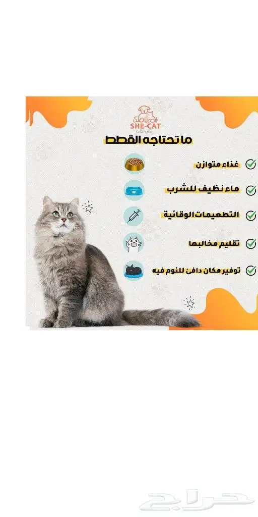 عياده القطط البيطريه 1
