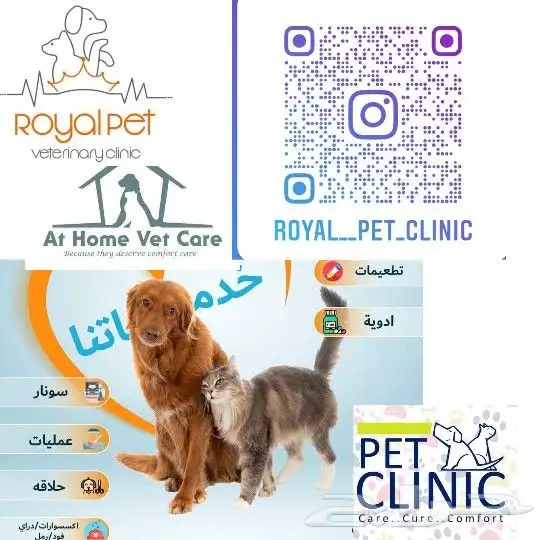 عياده القطط البيطريه 2
