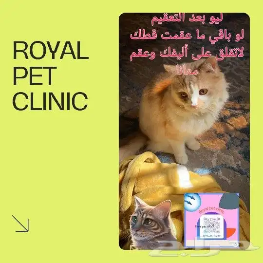 عياده القطط البيطريه 0