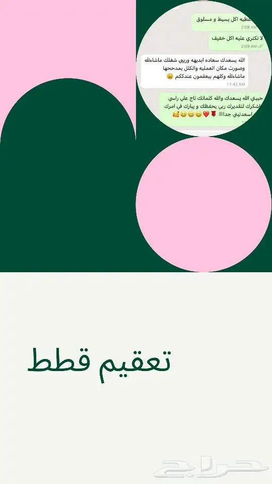 عياده القطط البيطريه 4