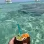 تاجير رحلات بحريه 4