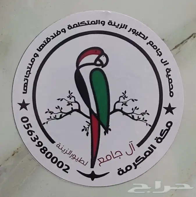 أكالات ذكية للطيور صناعة سورية 0