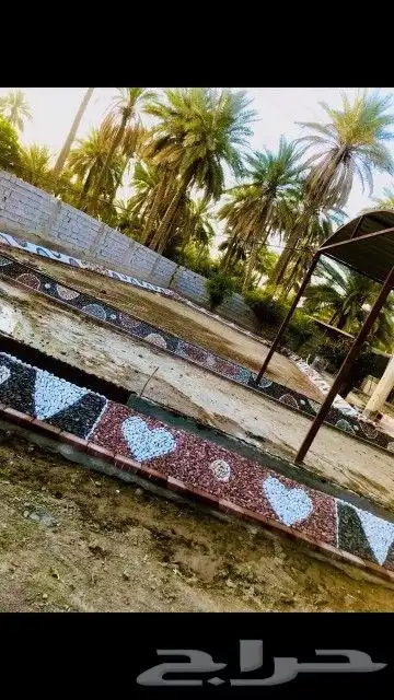 منسق حدائق معلم ديكورات خارجيه نقش حجر مرو الوان حجر 2