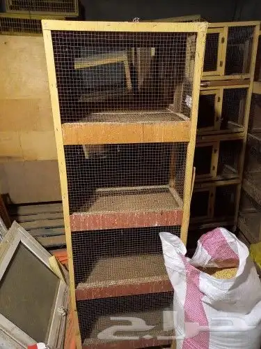للبيع محاكر صيصان او حمام 0