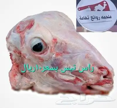 مركزرواد تهامه ليسة الوحيده فلاكن يشهدالله أنها افضل الملاحم 9