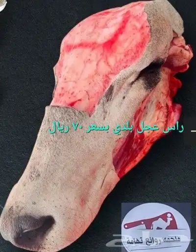 مركزرواد تهامه ليسة الوحيده فلاكن يشهدالله أنها افضل الملاحم 8
