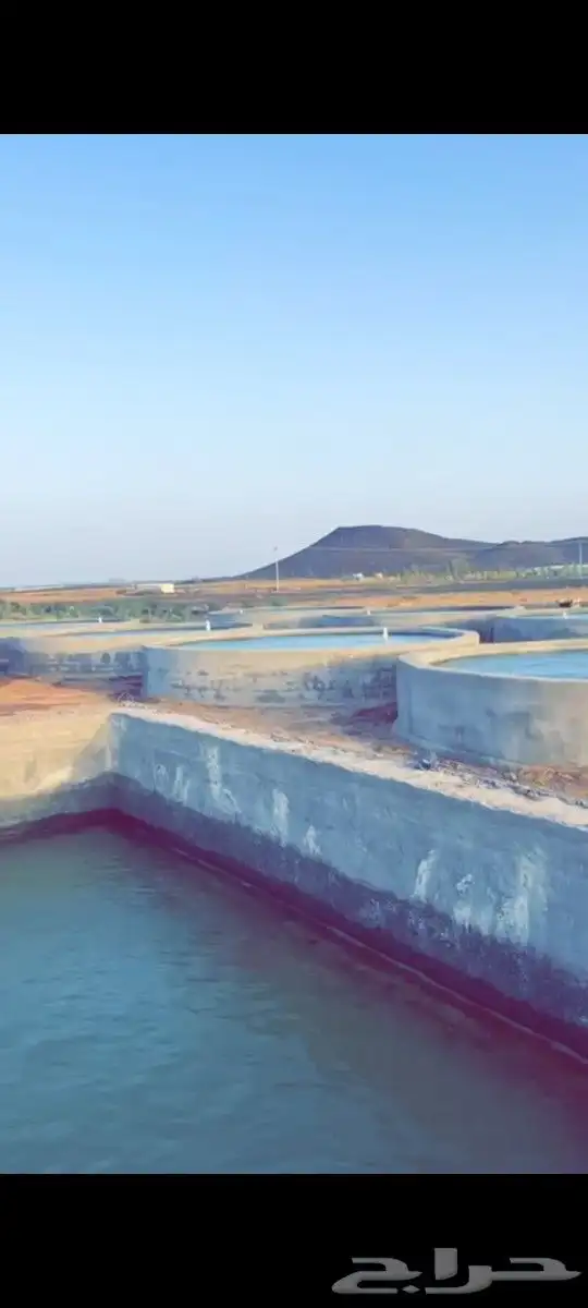 الطريق الى الملايين المزارع السمكية المكثفه 4