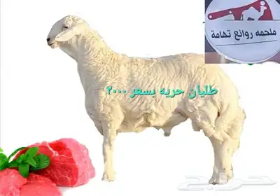 مركزرواد تهامه ليسة الوحيده فلاكن يشهدالله أنها افضل الملاحم 20