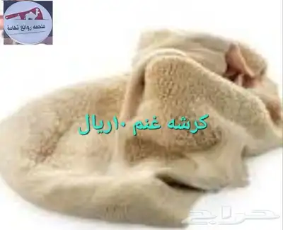 مركزرواد تهامه ليسة الوحيده فلاكن يشهدالله أنها افضل الملاحم 11