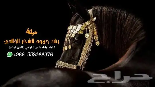 شيلات مدح بنات تنفيذ شيلات بالأسماء   شيلات مدح لحن القوافي 0