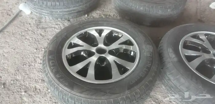 رش جنوط اسبور 1