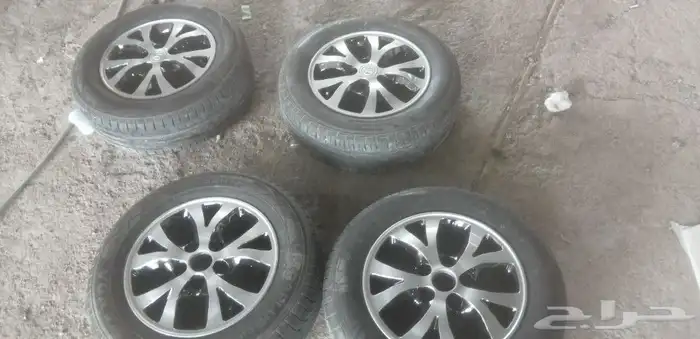 رش جنوط اسبور 3