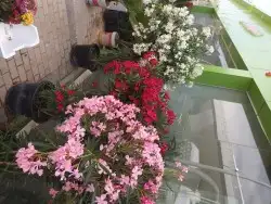 جلسات مظلات تنسيق حدائق 7