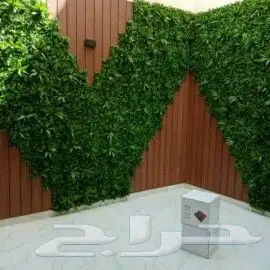 جلسات مظلات شلالات ثيل طبيعي 0