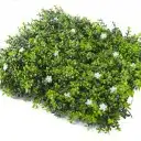 الجملة توريد بديل الرخام وخشب داخلي وخارجي وعشب 6