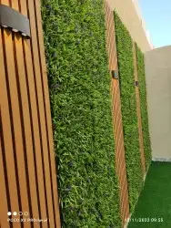 زراعه الثيل طبيعي 2