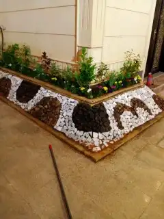 زراعه الثيل طبيعي 8