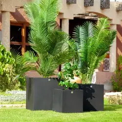 زراعه الثيل طبيعي 18