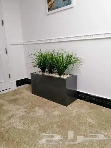 زراعه الثيل طبيعي 21