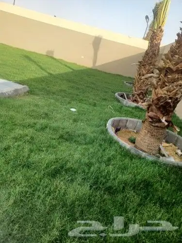 زراعه الثيل طبيعي 26