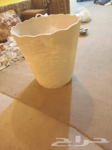 زراعه الثيل طبيعي 17