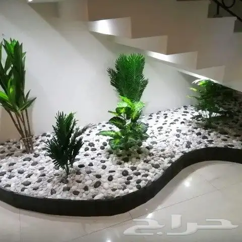 زراعه الثيل طبيعي 11