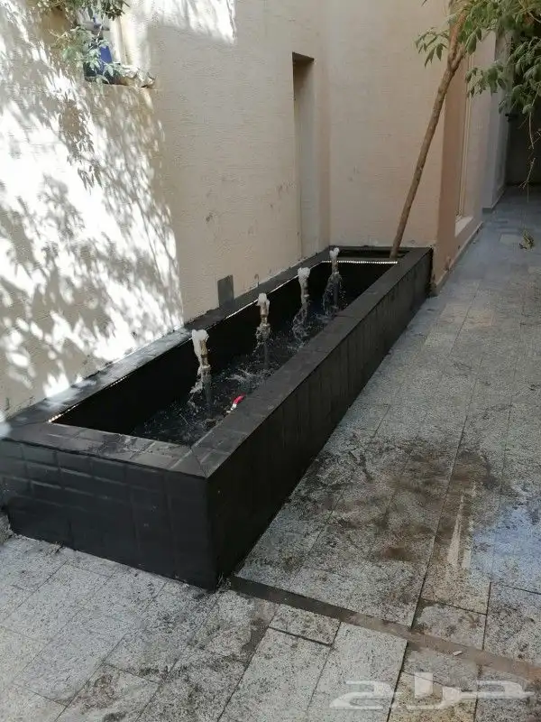 زراعه الثيل طبيعي 24