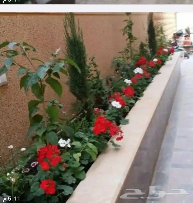 زراعه الثيل طبيعي 5