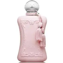 عطورات فرنسيه اصليه وجوده عاليه بسعار خياليه 11