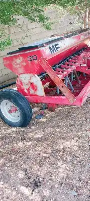 بذاره ماسي 0