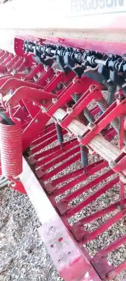 بذاره ماسي 3