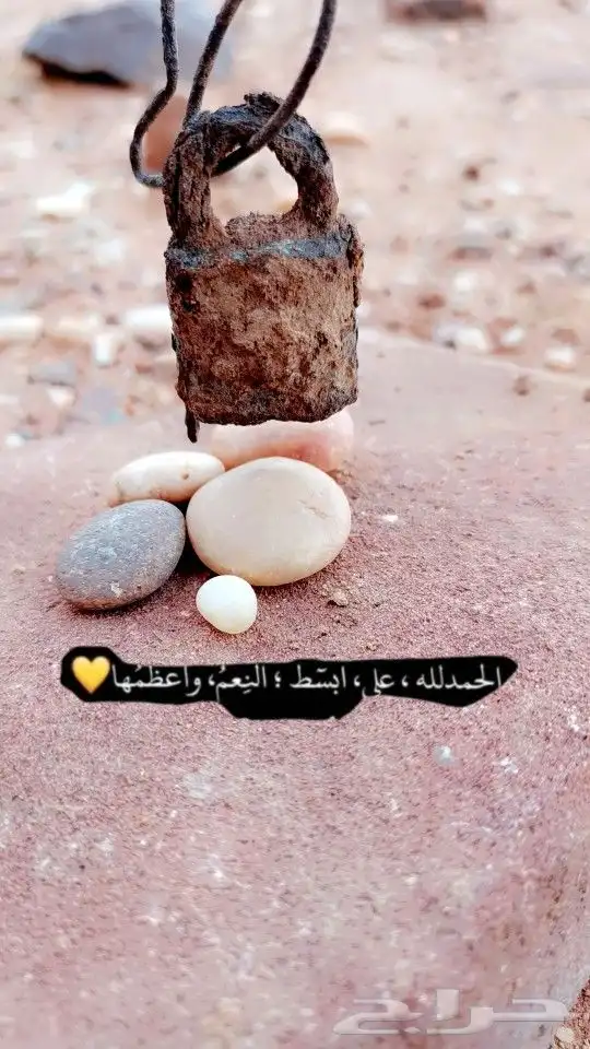 تبوك أعشاب برية 2