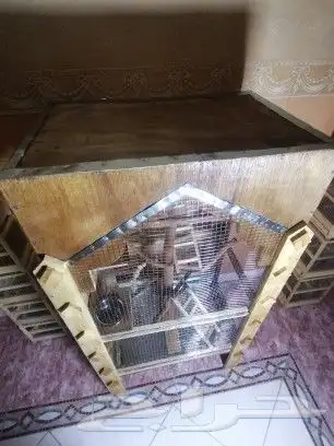 اقفاص طيور خشب زينه مميزه يوجد اشكال كثيره 7