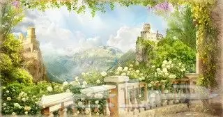 نعلات فايبر بديل الخشب 5