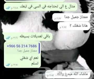 تصميم سيرة ذاتية احترافية CV 1