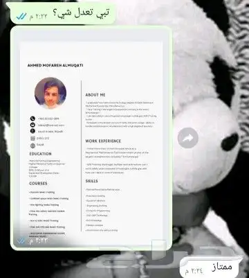 تصميم سيرة ذاتية احترافية CV 2