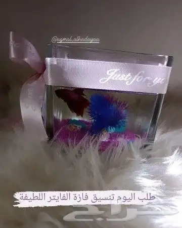 تنسيق ورود تبوك 16