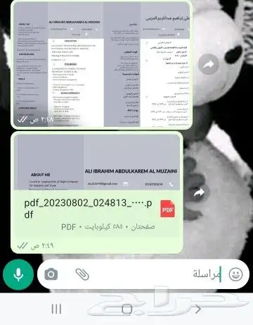 تصميم سيرة ذاتية احترافية CV 0
