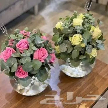 تنسيق ورود تبوك 12