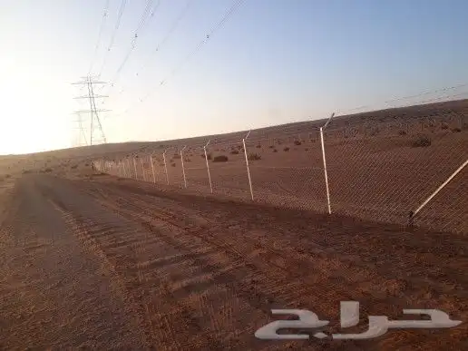 مقاول شبوك 11