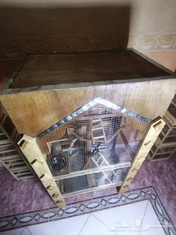 قفص خشب مميزه يوجد اشكال مختلفه بتصميم جميل 3