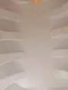 غسيل خزانات المياه والعزل 9
