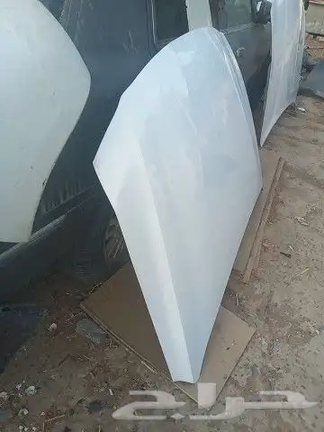 صدام و رفرف كبوت و باب النترا 2021 2022 12