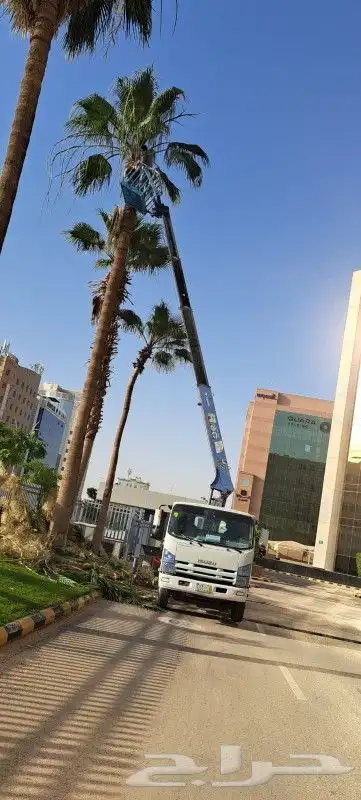 لتاجير الرافعات الشوكيه والكرينات 19