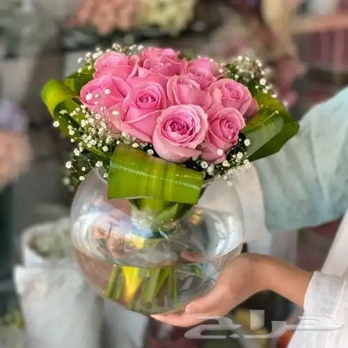 فازة سمك الفايتر المعلقه تبوك بسعر مميز 6