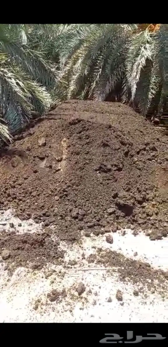 يتوفر لدينا توصيل سماد بقر و غنم و دجاج للمزارع 0