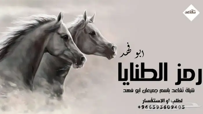 شيلات ترحيب _ شيلات زواج 1