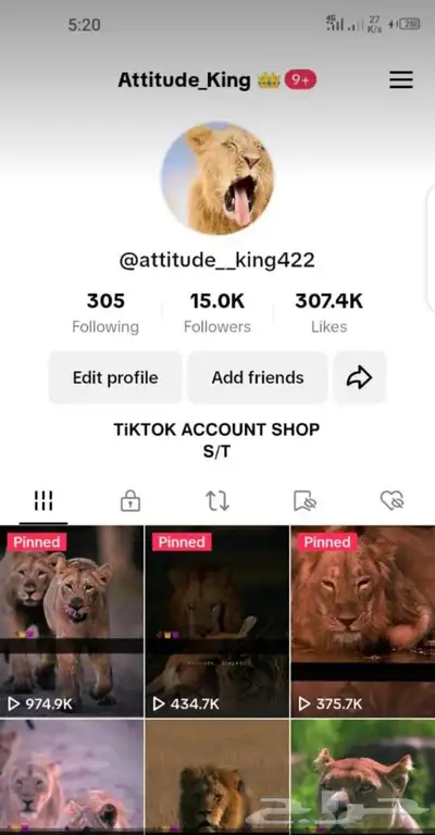 Tiktok account available in cheap rates 7