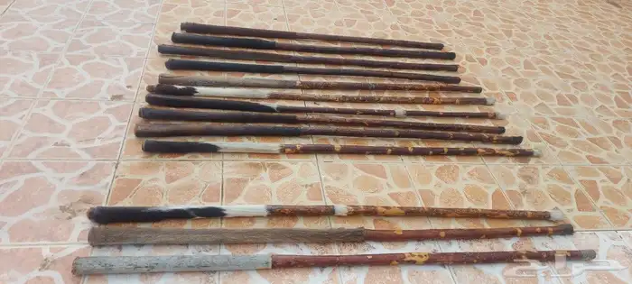 عصي مزمار نوع لوز وخرنوب مصري وعصي قصب مصري وعصي بومب هندي م 12